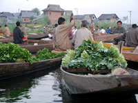 Floating Vegetable Market