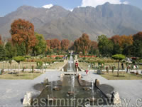 Mughal Gardens