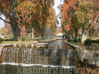 Mughal Gardens